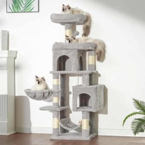 Arbre à chat gris multi-niveaux 145cm utilisé par trois chats de race Sacré de Birmanie.